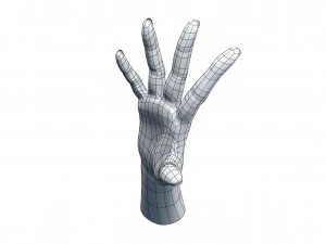 cad compatible casual woman hand model f1p3d1v1hand 3D Model