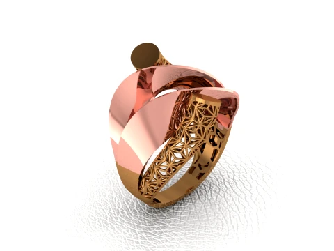Ring 3D Print Model