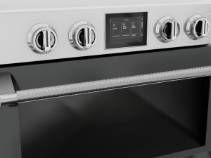 Regal Wall Oven Model 3D