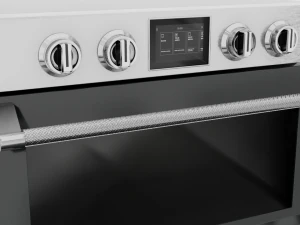 Regal Wall Oven 3D Model