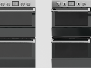 Regal Wall Oven Model 3D