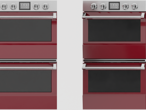 Regal Wall Oven Model 3D