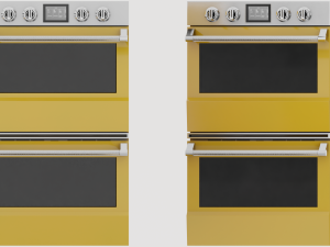 Regal Wall Oven Model 3D
