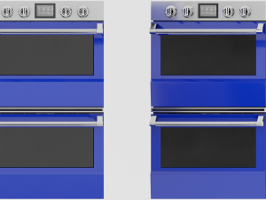 Regal Wall Oven Model 3D