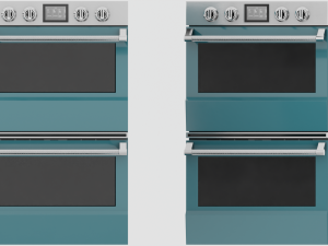 Regal Wall Oven Model 3D