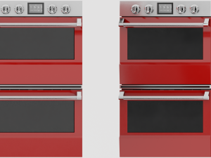 Regal Wall Oven Model 3D