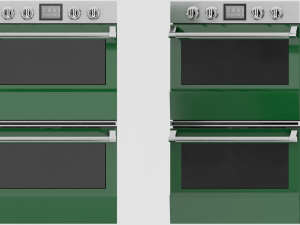Regal Wall Oven Model 3D