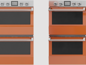 Regal Wall Oven Model 3D