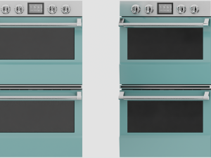 Regal Wall Oven Model 3D