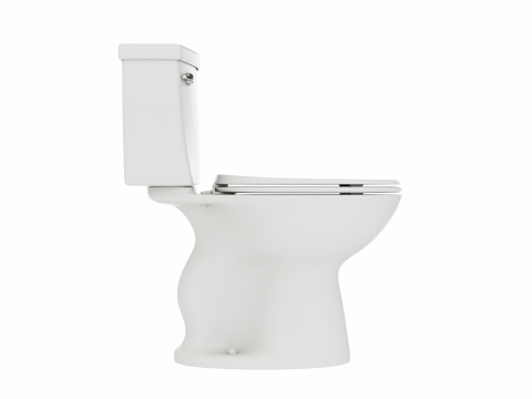 Single Flush Round Chair Height Toilet 3D 모델