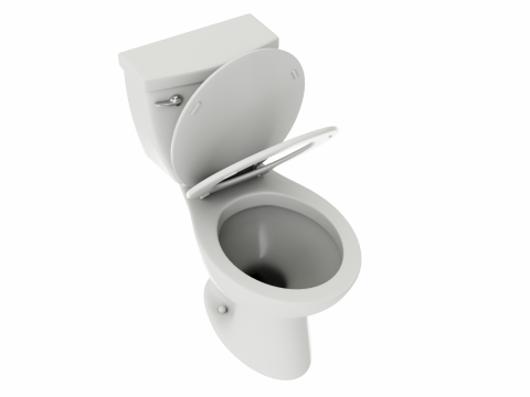Single Flush Round Chair Height Toilet 3D 모델