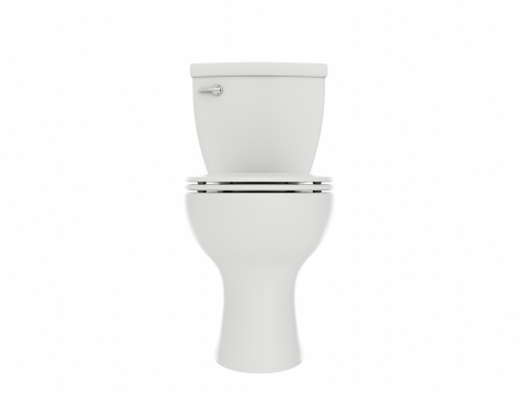 Single Flush Round Chair Height Toilet 3D 모델