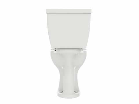 Single Flush Round Chair Height Toilet 3D 모델