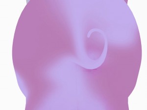 pigs 3D Model