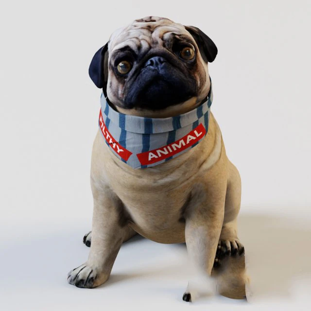 french bulldog sitting 3D Model .c4d .max .obj .3ds .fbx .stl .blend 