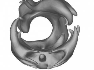apolo 3D-printmodel