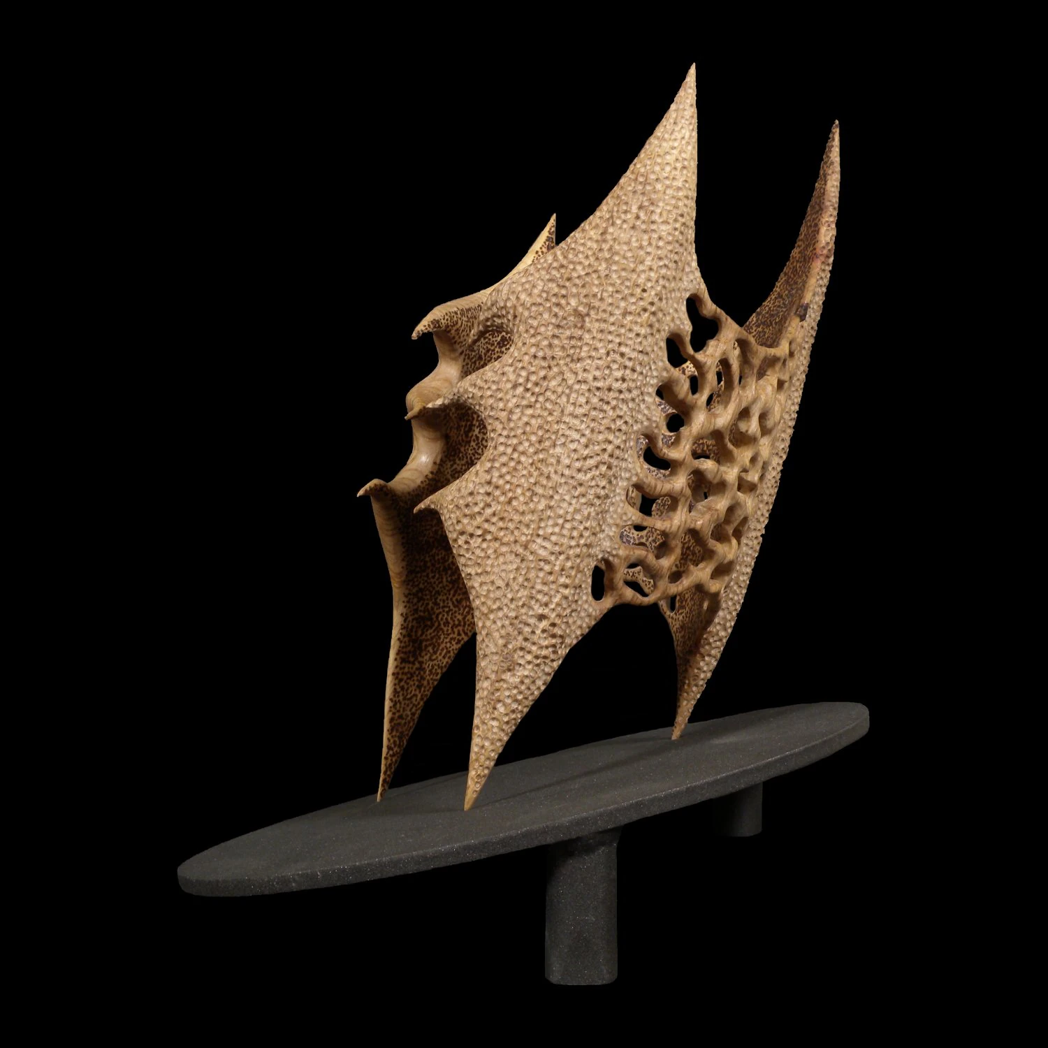 trivora 3D Print Model .c4d .max .obj .3ds .fbx .stl .blend 