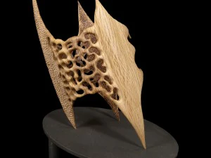 trivora 3D Print Model