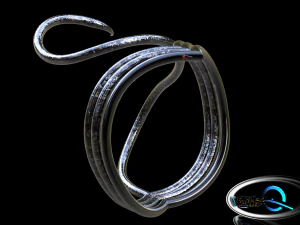 cobra ring 3D Model