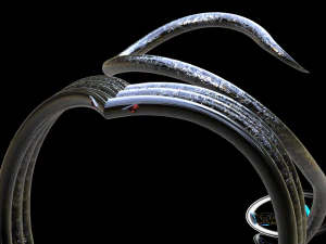 cobra ring 3D Model