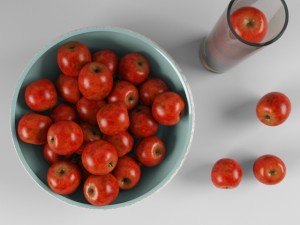 apple 3D Model