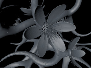 plant with flowers 3D Model