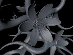 pianta con fiori Modello 3D