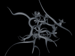 plant with flowers 3D 모델