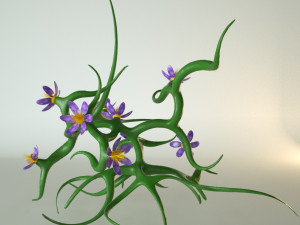 plant with flowers 3D 모델