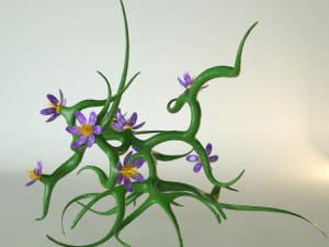 plant with flowers 3D Model