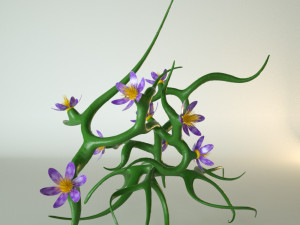 plant with flowers 3D 모델