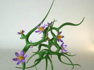 plant with flowers 3D Model