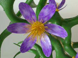 plant with flowers 3D Model
