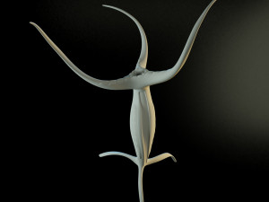 alien hydra 3D Model