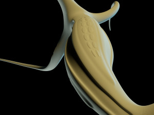 alien hydra Modello 3D