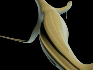 alien hydra 3D Model