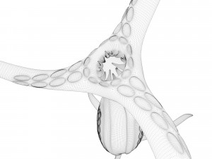 alien hydra Modello 3D