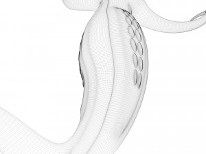 alien hydra Modello 3D
