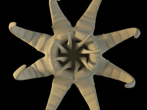 alien sea anemone 3D 模型