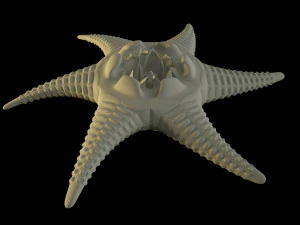 stella marina aliena Modello 3D