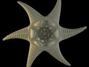 alien starfish 3D Model
