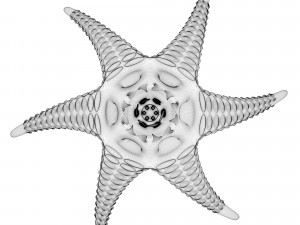alien starfish Modelo 3D
