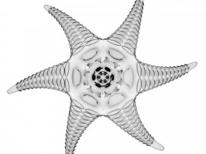 alien starfish 3D Model
