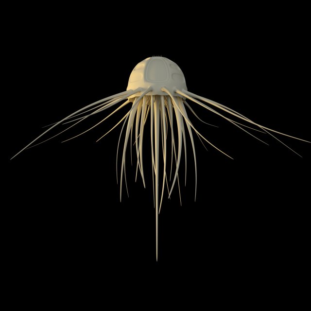 alien jellyfish 3D 모델 .c4d .max .obj .3ds .fbx .stl .blend