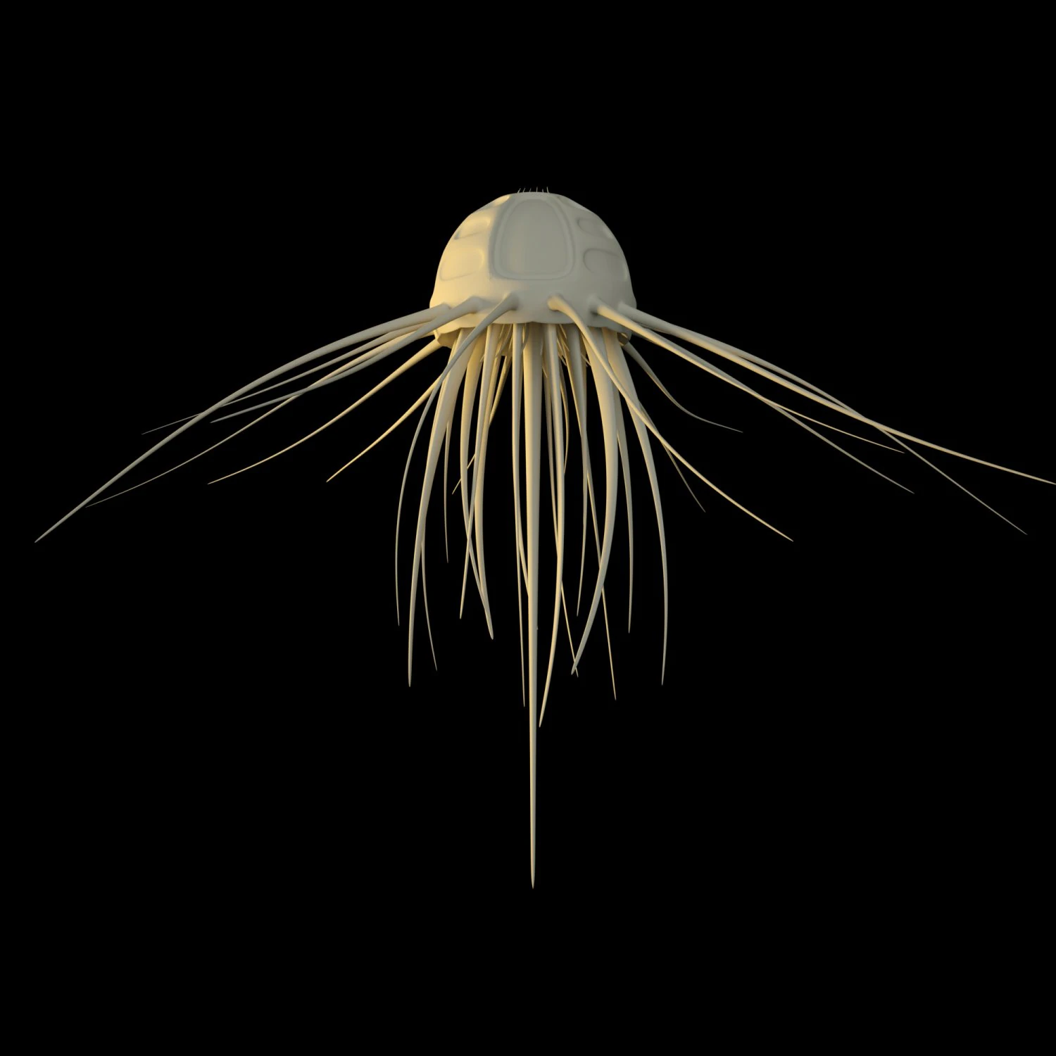 alien jellyfish 3D Model .c4d .max .obj .3ds .fbx .stl .blend 
