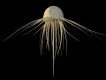 Alien jellyfish 3D Model