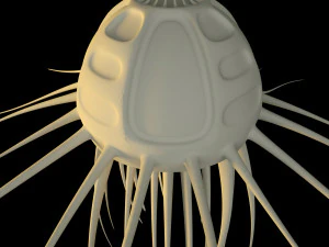 alien jellyfish 3D Model