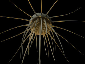 alien jellyfish 3D 모델