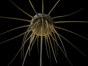 alien jellyfish 3D Model