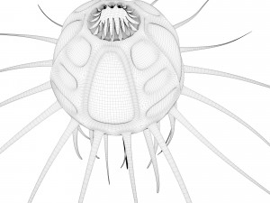 alien jellyfish 3D 모델